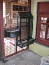 Chimpanzee’s Food Chutes