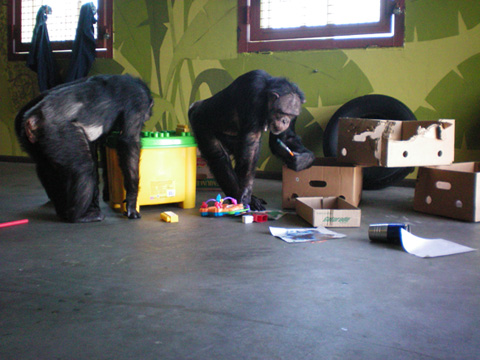 Jamie with paint brush, Missy looking in lego box