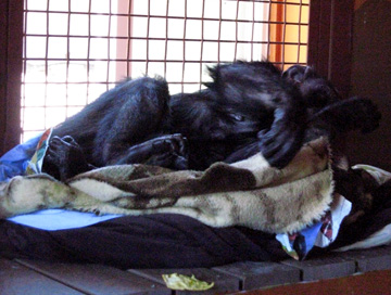 Jody in her nest