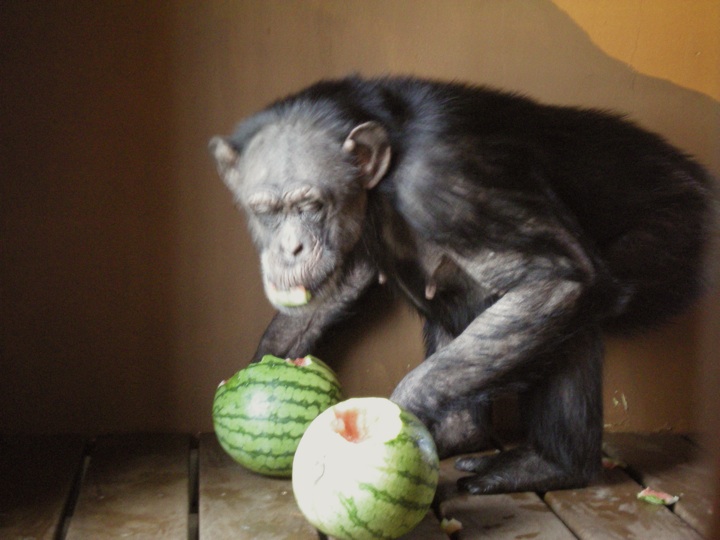 Jody with watermelon