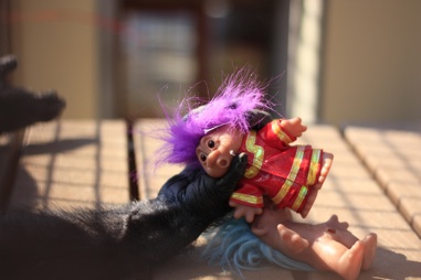 scared? troll in Foxie's hand