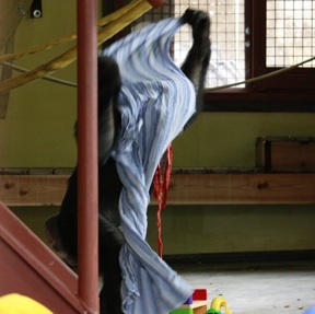 jamie-playroom-cloth-over-head-after-rain Jamie putting cloth over head