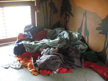 nest of dreams