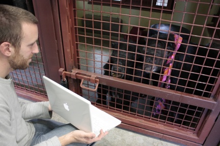 Jamie and Foxie watching slideshow