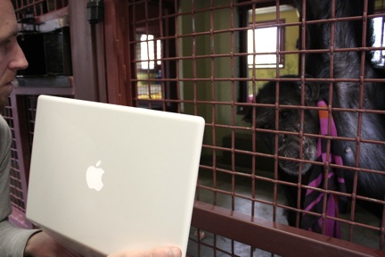 Jamie watching photo slideshow