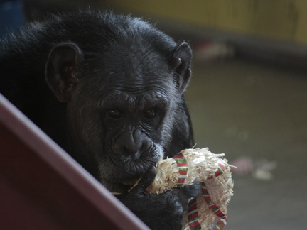 Jody with treat wreath