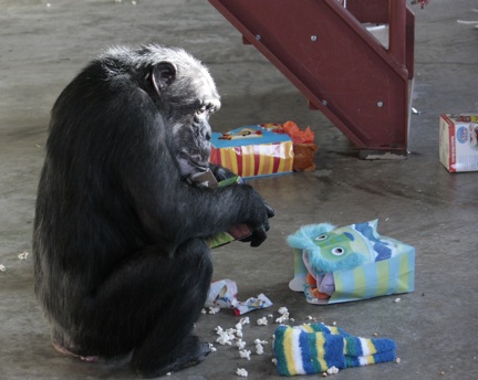 Missy with gifts