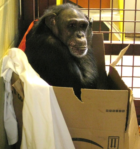Jamie in a box