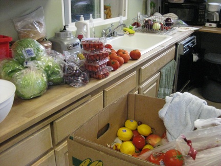 Produce to wash for the day