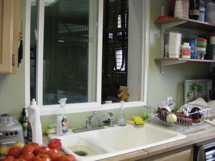 view into playroom from kitchen window