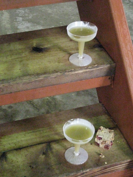grape-juice-champagne_small_img_0639