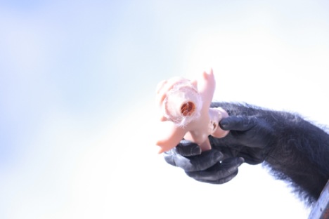 troll-hand-1