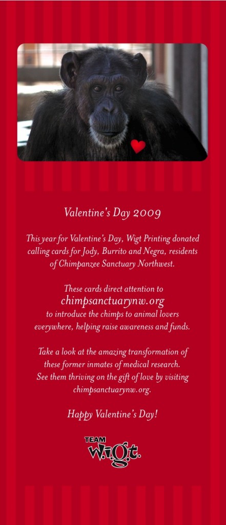 valentines' gift from wigt
