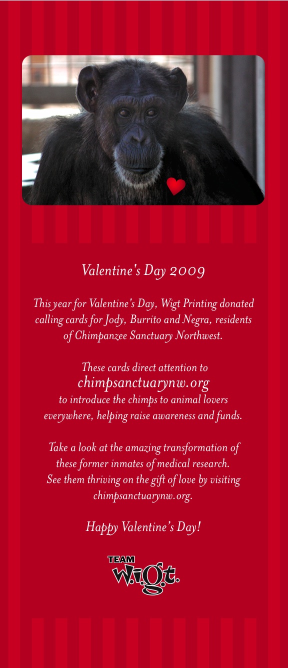 valentines' gift from wigt