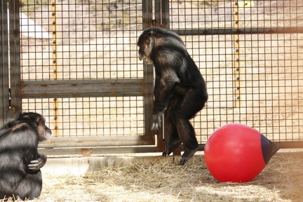 3-26-09-missy-jump-1