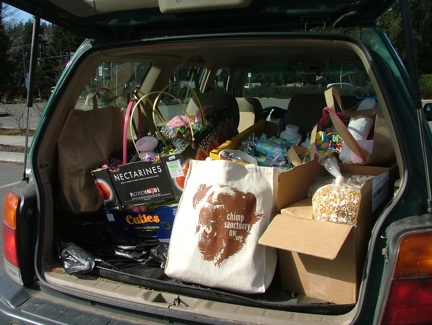 Easter enrichment all loaded up to go to the sanctuary Easter enrichment all loaded up to go to the sanctuary
