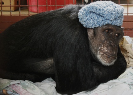 jamie-new-hand-knit-hat_web_mg_0061 jamie-new-hand-knit-hat_web_mg_0061