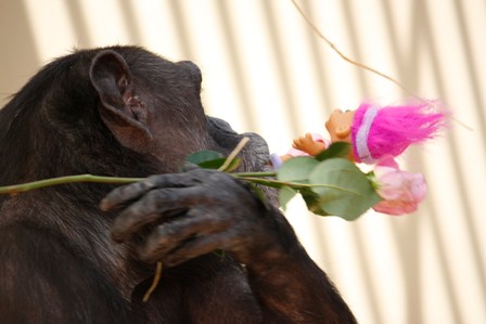 5-10-09-jody-with-roses-and-troll1