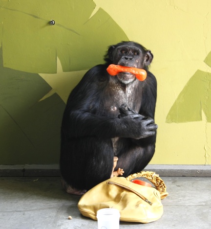 web-jamie-enrichment-phone-playroom_mg_2841