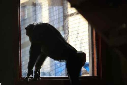 jamie-at-new-window-from-playroom_mg_4578