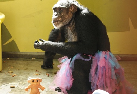 jamie-homemade-tutu-sitting_mg_8253 jamie-homemade-tutu-sitting_mg_8253