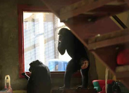 jody-and-jamie-at-window_mg_4584 jody-and-jamie-at-window_mg_4584