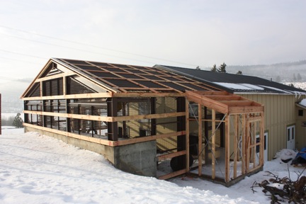 1-12-10 greenhouse north and east IMG_5280