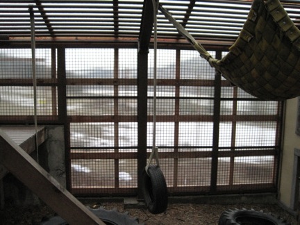web greenhouse construction one wall complete outdoor area from inside IMG_0632