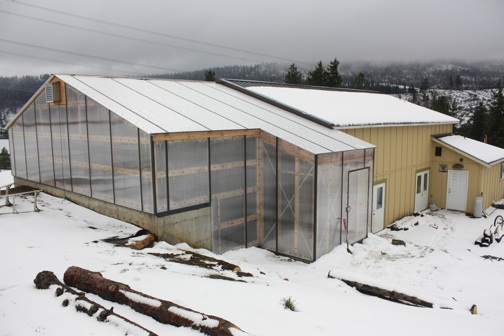 web building greenhouse snow april outside_MG_6096