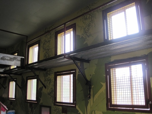 wall of windows