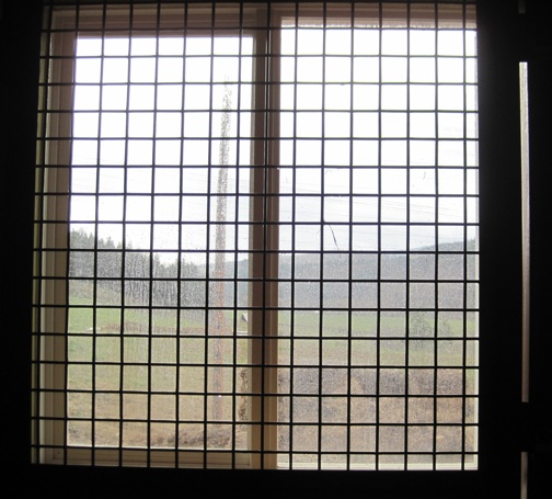 web caging of window playroom to garden building IMG_1539