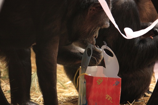 Jody with gift bag on Mother's Day
