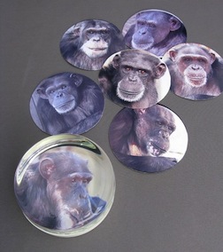 paperweights