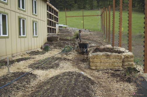 web Dakotta garden compost work DSC_0117