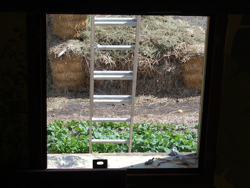 Blog readers' window DSC_0103 New lower window