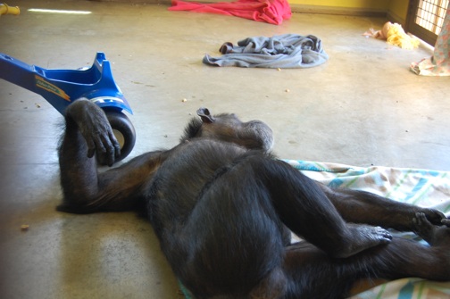 web Annie yoga lay down on back stretch playroom DSC_0103