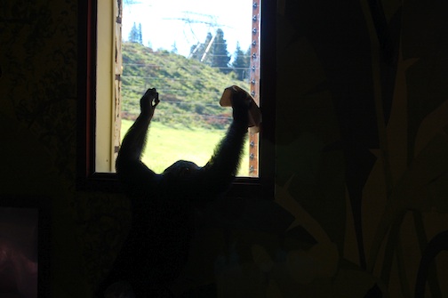 web Jamie clean new window sock DSC_0055 Jamie wiping window with sock