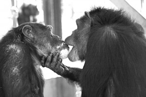 annie kiss missy