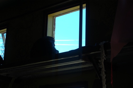 web Negra blue sky new window playroom DSC_0044