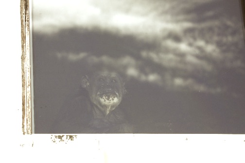 Negra checking out view