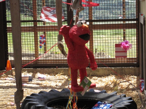 web Elmo pinata IMG_6207