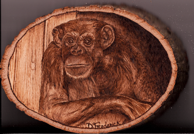 Annie chimp by Diane Frederick
