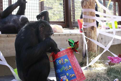 Missy with a gift bag
