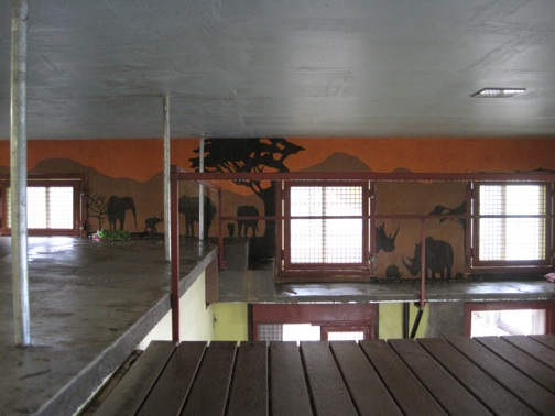 web-building-playroom-windows-wall-to-outside-caging-IMG_1541