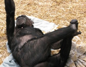 Jody doing "yoga"