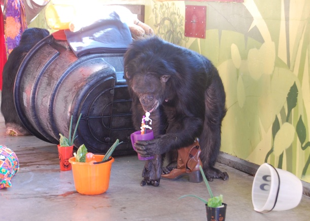 Jamie drinking juice with a straw