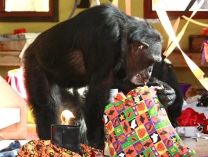 Jamie looking through a Halloween gift bag