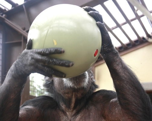 Jody with Boomer Ball