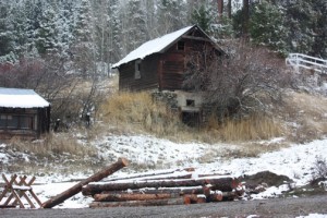 logs
