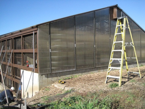 web greenhouse jb IMG_7250